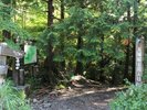 【周辺観光】天城縦走路入口