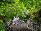 城崎温泉街