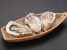 新鮮な篠島産の朋輩牡蠣
