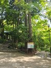 瑞宝園に隣接