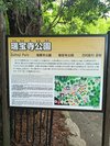 瑞宝園に隣接
