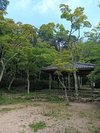 瑞宝寺公園内