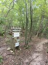 癒しの森案内看板