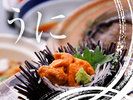 �V�N�ȉ_�O�͐�̏�łӂ���Ƃ낯����Ɠ��̊Ö����N�Z�ɂȂ��i