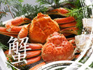 �u�z�O�ɗ��������ς�I���H�ׂ����I�v�Ƃ������ɂ��X�X����