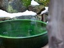 月の雫 サウナ 水風呂
