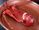 伊勢海老の海水蒸し