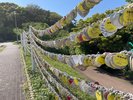 恋人岬 絵馬掛け所
