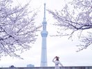 【周辺観光イメージ】東京スカイツリーの展望台からの絶景は観光客に人気です♪