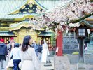【周辺観光イメージ】東京観光を存分に楽しめます♪