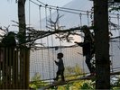 小山を登り、森を抜けた見晴らしの良い高台には無料開放のツリーウォークがあります。