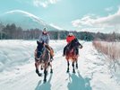 【有料オプション】真っ白で広大な雪原を、馬の背に乗りゆったりと散策しましょう。