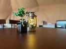 ドームテント内風景