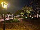 夜間のサイト内
