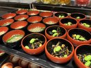 季節の小鉢(イメージ)