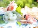 爽やかな夏〜涼やかな「白イカ」甘くて柔らかい!希少な夏の食材です