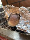 ハマグリ最高!!!※持ち込み食材イメージ