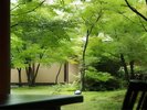 庭園特別室檜風呂付