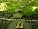 中庭