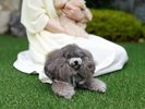 The ONEでの過ごし方一例A