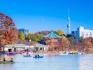 【当館から徒歩12分】博物館や美術館、動物園が集まる、文化と自然の宝庫「上野公園」