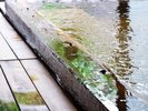 【大浴場】温泉が満たす癒しの時間