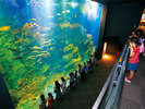 男鹿水族館GAO