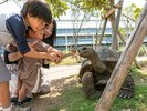神戸どうぶつ王国動物とのふれあい