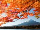 【周辺観光】箱根・芦ノ湖周辺より望む富士山と紅葉