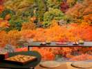 【箱根寄木の間 清流リビング付き和洋室】カウンターからは秋色に染まる湯坂山をお楽しみください。