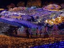 国営讃岐まんのう公園(冬)イルミネーション(画像提供:国営讃岐まんのう公園)