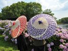 国営讃岐まんのう公園(初夏)和傘レンタル(画像提供:国営讃岐まんのう公園)