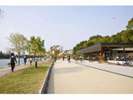 大濠公園「写真提供:福岡市」