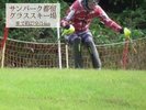 やってみたらハマるかも!