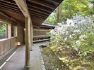 中庭の様子