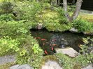 中庭の様子