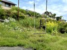 ISOLA外観。大きなブランコ