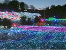 車で5分のグランイルミ