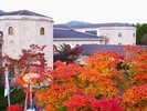 ホテル外観(秋)