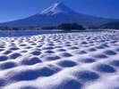 ■富士山と雪のラベンダー畑（大石公園）＜冬＞(写真提供：富士河口湖　観光課)