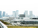 豊洲市場