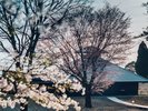 客室棟からスロープカーで向かった先の広大なすすき野原に湯浴み小屋(大浴場)が佇んでいます。