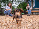 【2ベッドルームヴィラ】愛犬が元気に駆け回る様子に、思わず笑顔がこぼれます♪