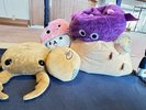 ぬいぐるみたち