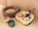 ペットフレンドリールームのみ愛犬と同伴が可能です