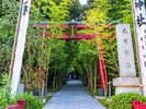 【周辺/来宮神社】国の天然記念物にも指定された、大楠の御神木はパワースポットとして有名です。