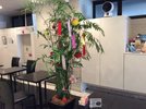 季節を感じていただける館内づくりを目指しています。