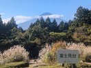 森の小径 富士真台からの眺望