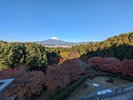 ロビーバルコニーからの眺望