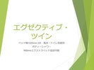 【エグゼクティブ・ツイン】